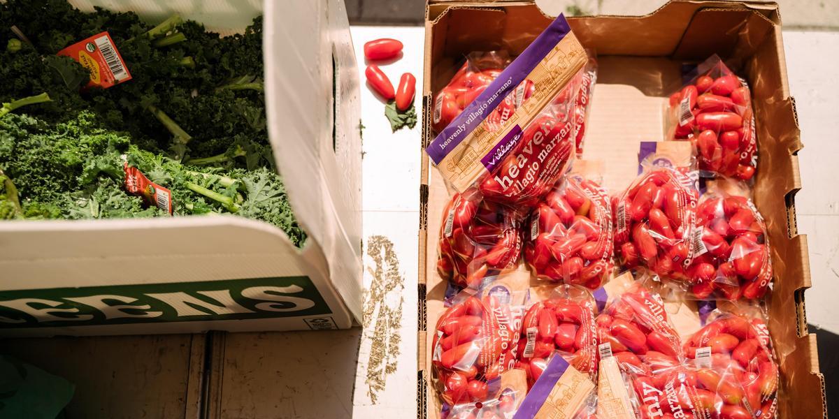 An overhead image of tomatoes and leafy greens
