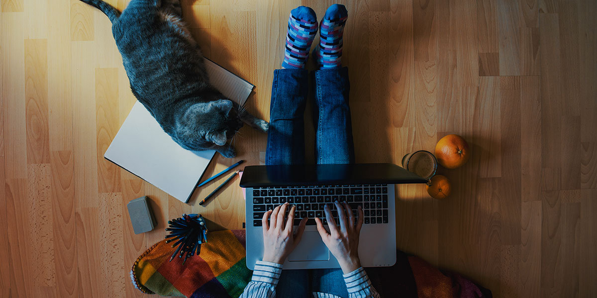 Student studies online at home.