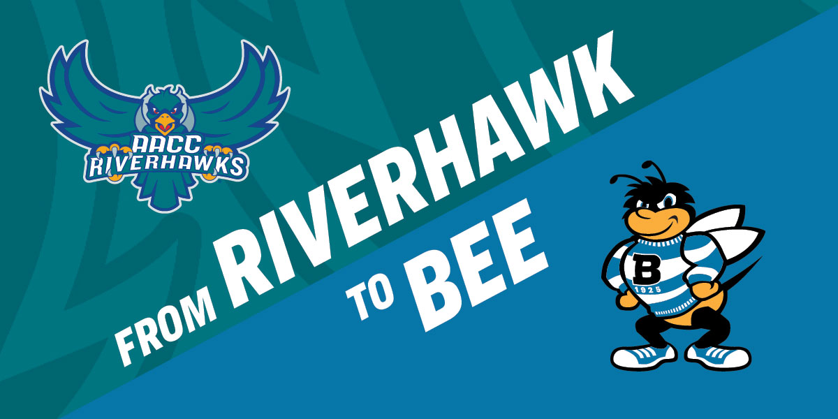 AACC Riverhawk and University of Baltimore Bee logos